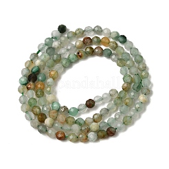 Природные африканские нефритовые бусы пряди&nbsp;G-L653-B04-3mm-01