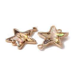 Шармы-коннекторы с натуральной черной губой&nbsp;KK-WH0054-25A-KCG