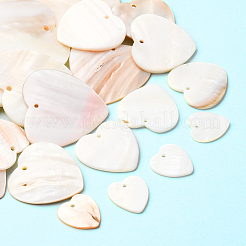 20шт 5 стиля подвески из натуральных пресноводных ракушек&nbsp;SHEL-SC0001-95