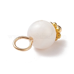 Подвески из натуральных пресноводных ракушек&nbsp;PALLOY-JF01657