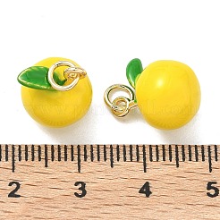 Латунь эмаль подвески&nbsp;KK-F933-14G-01