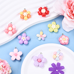 20шт 10 стиля подвески из смолы&nbsp;RESI-YW0002-07