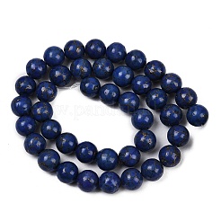 Синтетический говлит имитация лазурита бусины&nbsp;G-S393-13A-10mm