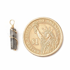 Подвески из натурального ларвикита&nbsp;PALLOY-JF01453-05