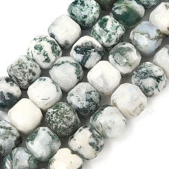 Натурального дерева агат бисер нитей&nbsp;G-C267-A18