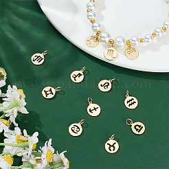 12 шт. 12 стиля плоские круглые с двенадцатью созвездиями латунные подвески&nbsp;PALLOY-WR00028