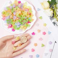 500шт 10 цвета акриловые колпачки для бусин&nbsp;TACR-SP0001-08