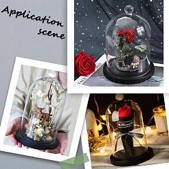 1 шт. стеклянный купол&nbsp;AJEW-SC0002-60B-03