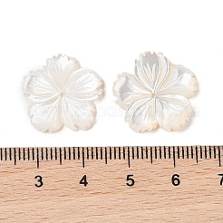 Натуральные белые бусины из ракушек&nbsp;SSHEL-C012-23B