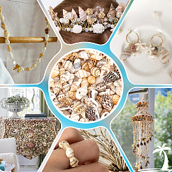 180 г натуральных бусин из морских ракушек&nbsp;BSHE-PH0001-41