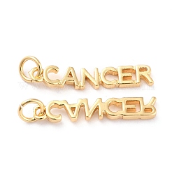 Латунные подвески&nbsp;KK-J276-14