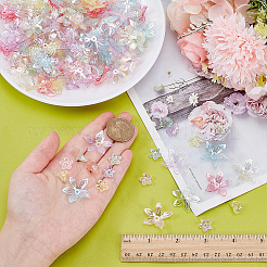 320шт 16 цвета прозрачные акриловые бусины&nbsp;TACR-AR0001-31