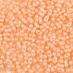 Выпечка краска стеклянные бусины&nbsp;SEED-L011-09A-12