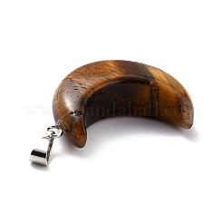 Природных тигровый глаз подвески&nbsp;G-Z022-02E