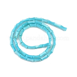 Нити бусин из натуральных пресноводных ракушек&nbsp;SHEL-G013-01D