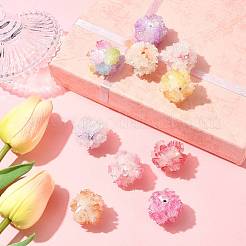 10шт 10 цвета бусины из смолы&nbsp;RESI-FS0002-24B