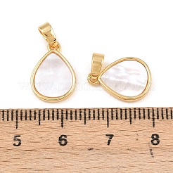 Натуральные раковины&nbsp;KK-Z140-25G