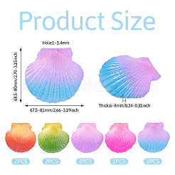 10 шт. большие подвески из натуральной ракушки гребешка&nbsp;SSHEL-TA0001-23