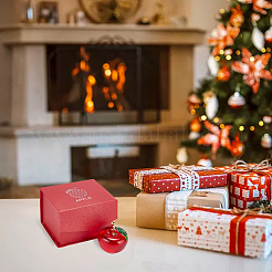 2 шт. 2 цвета яблочное стекло домашние украшения&nbsp;DJEW-NB0001-31