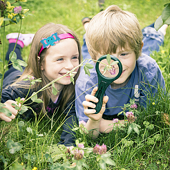 1 шт. штампы для резки дерева&nbsp;DIY-SD0001-87C-04