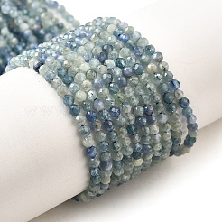 Натуральный кианит/цианит/дистеновые бусины&nbsp;G-G259-D04-2mm