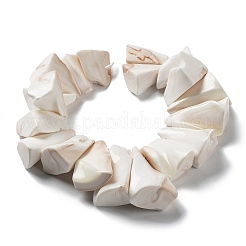 Нити бусин из натуральных ракушек&nbsp;BSHE-M034-02