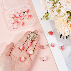 20шт стеклянные подвески&nbsp;GLAA-OC0001-46