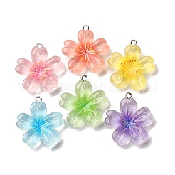 Прозрачные смоляные подвески&nbsp;RESI-A046-05B