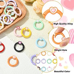 24 шт. 12-х цветные застежки-кольца из сплава с пружиной&nbsp;FIND-CJ0003-44