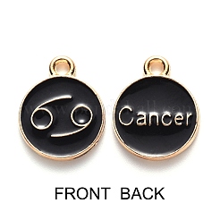 Подвески из эмали и сплава&nbsp;ENAM-SZ0001-27C-D