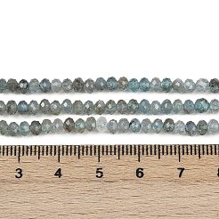 Природного апатита нитей бисера&nbsp;LS-G-RM2025-C39-3x4mm