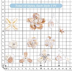 10 шт. 10 стиля фетровых бусин из натуральных ракушек&nbsp;DIY-PH0033-48
