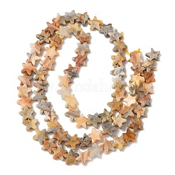 Природные сумасшедший агат бисер нитей&nbsp;G-F817-A05-01