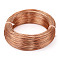 Anodized Aluminum Wire, Bendable Metal Craft Wire, Flexible Craft Wire, for Beading Jewelry Craft Making, Sandy Brown, 22 Gauge, 0.6mm, 280m/250g(918.6 Feet/250g)