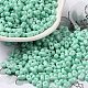 Выпечка краска стеклянные бусины&nbsp;SEED-K009-01A-05-1