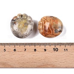 Натуральные фигурки сумасшедшего агата со следами&nbsp;DJEW-N003-02G