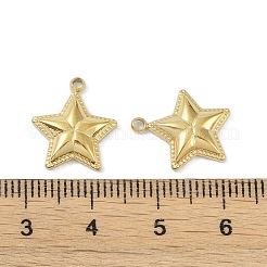 Ионное покрытие (ip) подвески из нержавеющей стали 304&nbsp;STAS-R233-09G