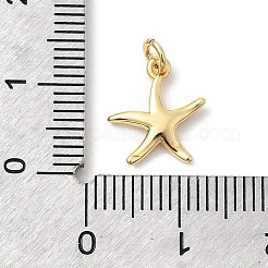 Латунь подвески&nbsp;KK-Z135-14B-G