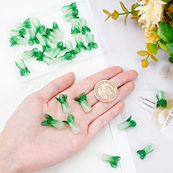 30шт ручной работы бусины лэмпворк&nbsp;LAMP-OC0001-31