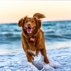 Набор для изготовления брелка для ключей с тиснением своими руками&nbsp;DIY-SZ0007-21