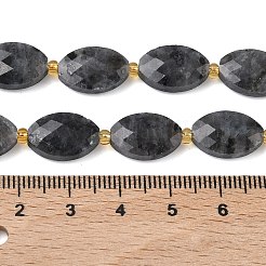 Натуральные нити бус из ларвикита&nbsp;G-A295-A03-01