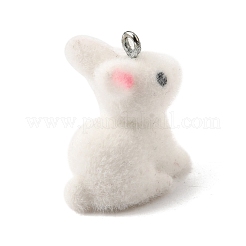 Подвески из непрозрачной смолы&nbsp;LS-FIND-U030-14P