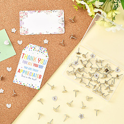 100 шт. 2 стиля железных кнопок для чертежей&nbsp;AJEW-SP0003-97