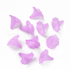 Прозрачные акриловые бусины&nbsp;X-BSF796-C08