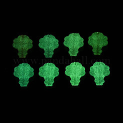 Светящиеся матовые прозрачные акриловые бусины&nbsp;TACR-T029-22M