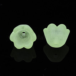 Прозрачные акриловые бусины&nbsp;X-FACR-N005-001