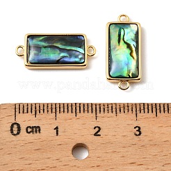 Подвески-пряжки из натуральной ракушки пауа&nbsp;KK-G538-41G