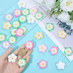 Подвески из непрозрачной смолы 30 шт.&nbsp;RESI-BM0001-01