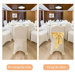 Полиэфирная лента&nbsp;DIY-WH0321-45