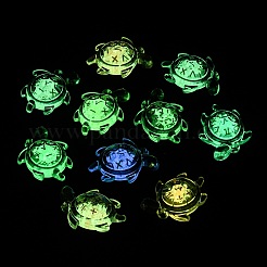 Светящиеся прозрачные акриловые подвески&nbsp;TACR-P010-02